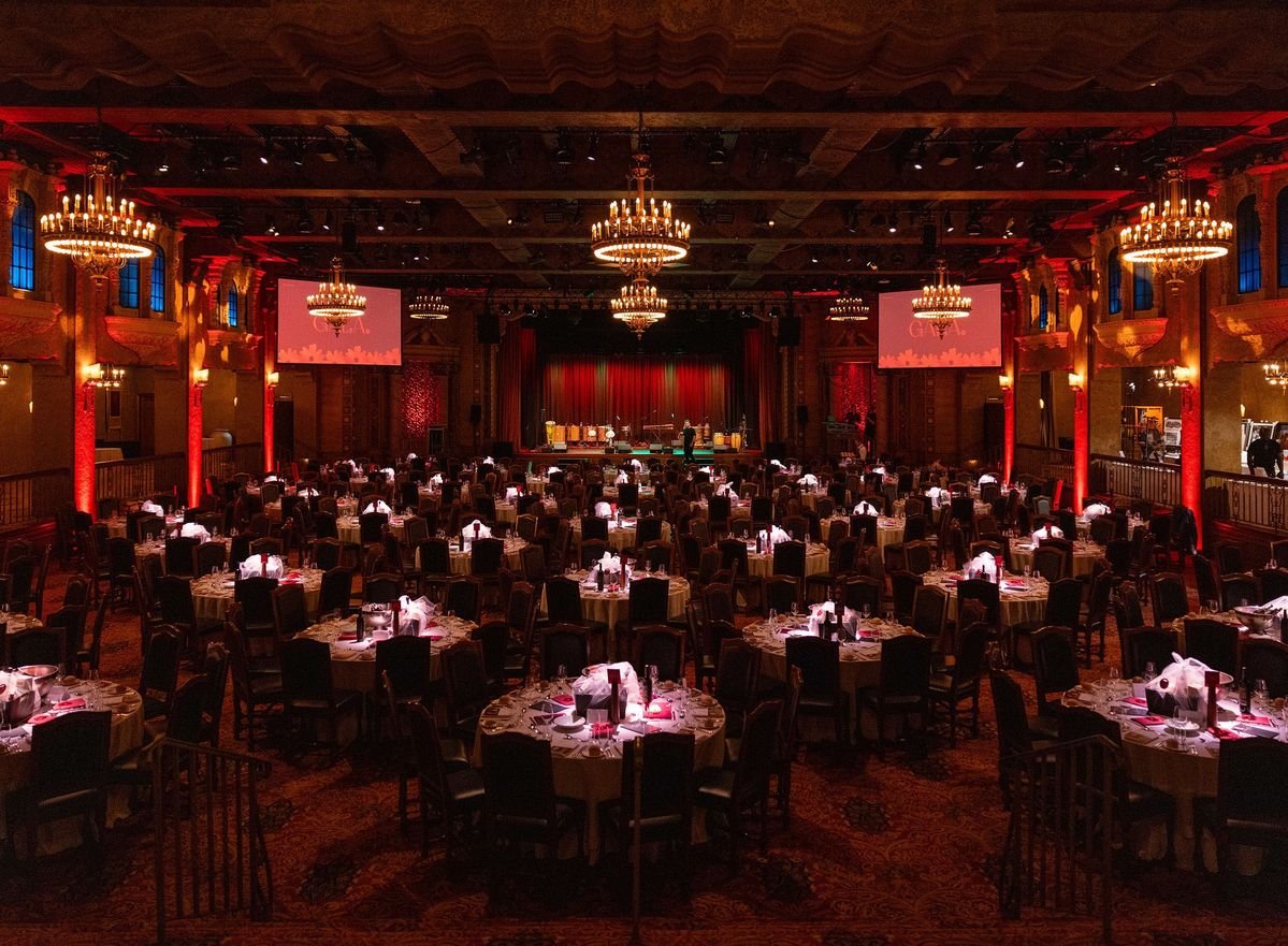 VIP Concert Experience